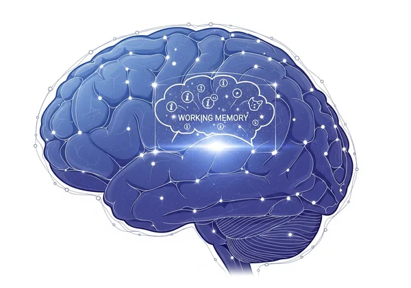 Visualizing working memory as an active mental workspace